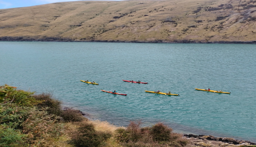 Sea-kayakers passing by at Pohatu marine reserve while on a tour with Pohatu penguinsSea-kayakers passing by at Pohatu marine reserve while on a tour with Pohatu penguins